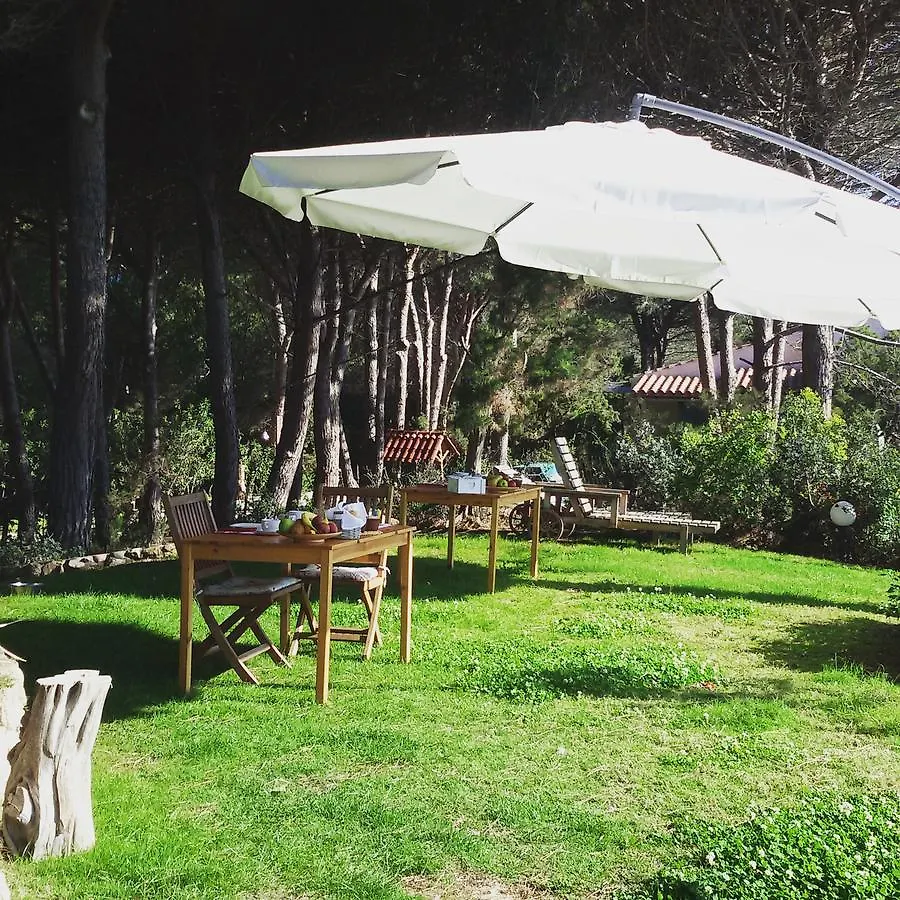 Mirto E Mare Bed & Breakfast Muravera 0*,