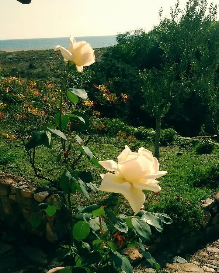 Mirto E Mare Bed & Breakfast Muravera